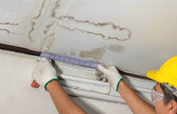Reliable Structural Drying contractor in Silverthorne, CO by Water Damage Irwin